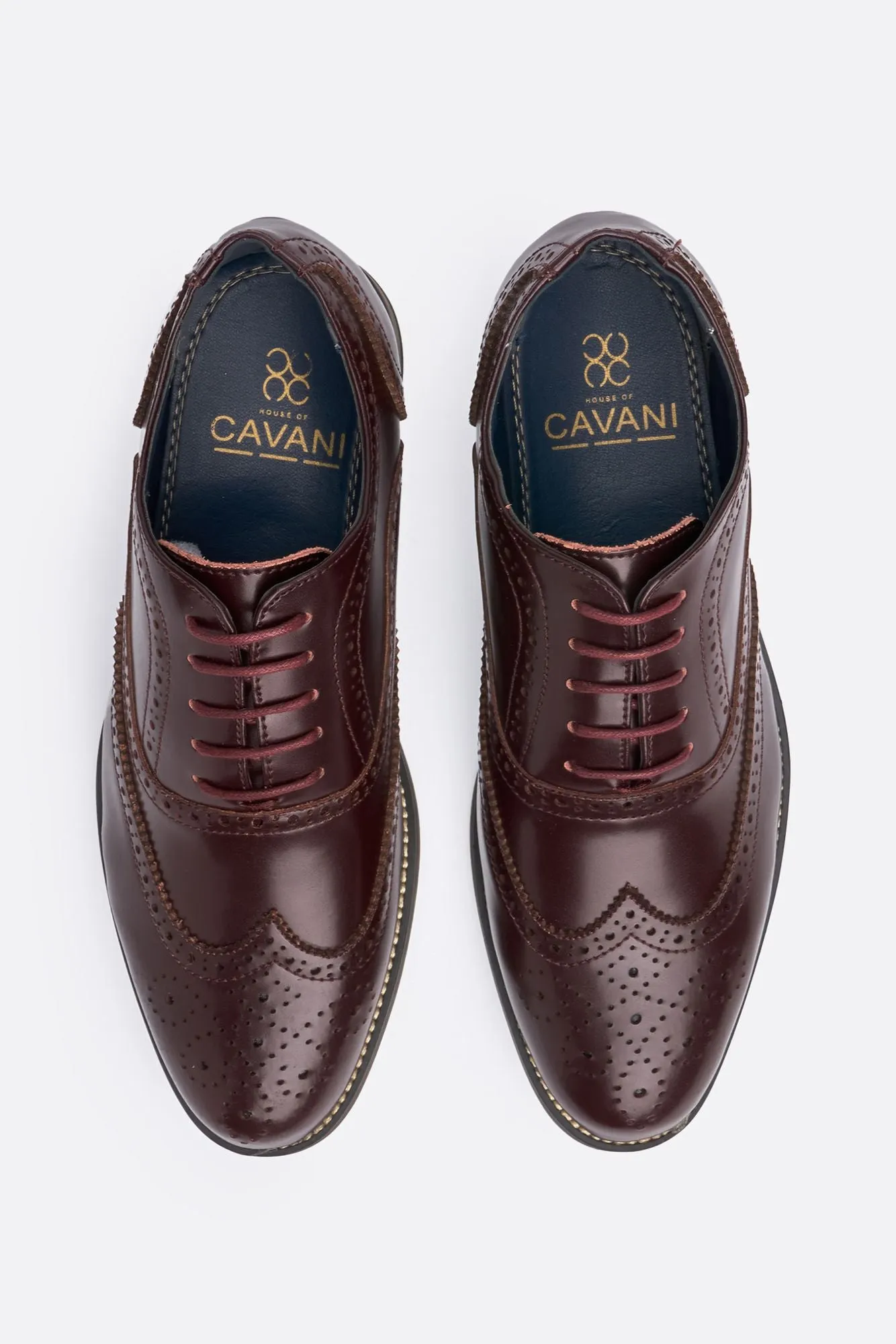 Clark Wine Shoes