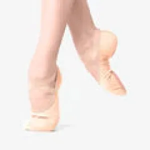 SD-Canvas Ballet Shoe/SD16